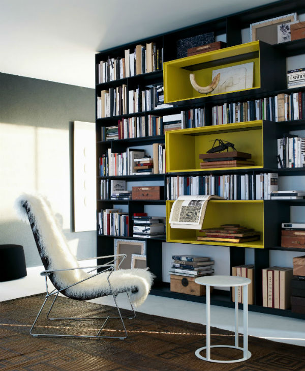 Top 6 Amazing Home Libraries (4)
